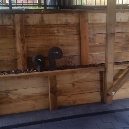 Edgehill - Semi Self-Contained Eco Friendly Home Tauranga Bagian luar foto